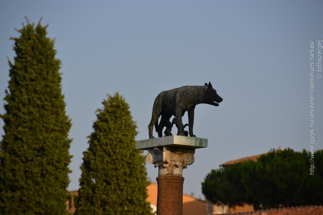 Roma_farkasa_Pisa_2012_02_resize