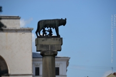 Roma_farkasa_Temesvar_2012_02_resize