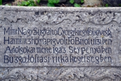 Temeto_Marosvasarhely_2011_1_resize