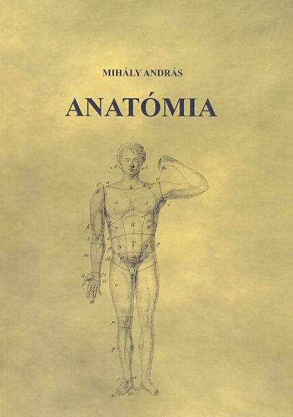 anatomia