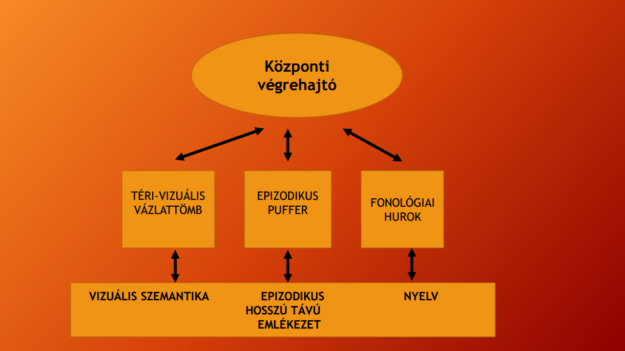 A látássérült gyermekeknél a magasabb mentális funkciók kialakulásának jellemzői - Szorongás