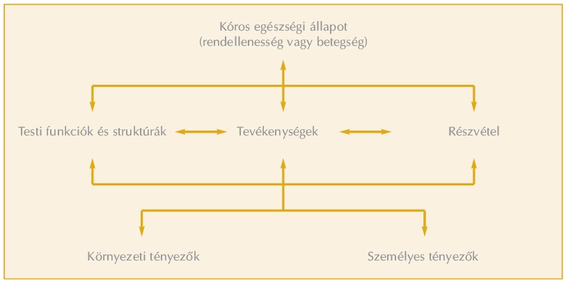 befolyásolja a prosztatitárt a hatékonyságra vagy sem)