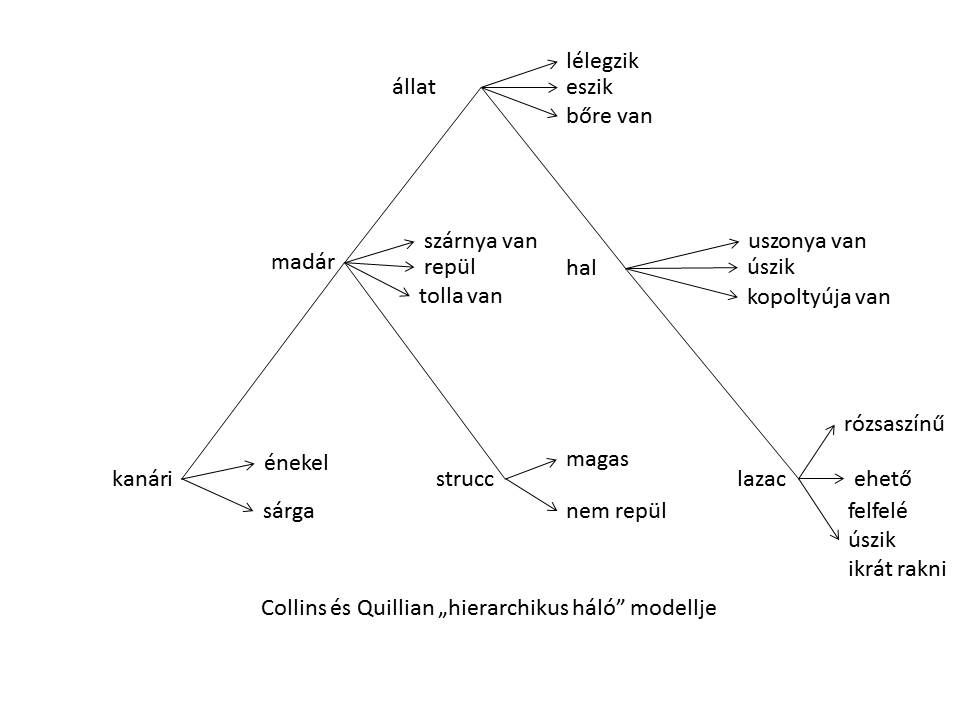 Hierarchikus Szolgáltatás Modell