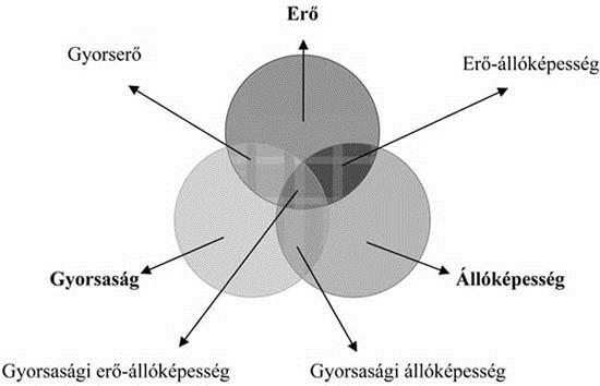 az általános állóképesség növekedése