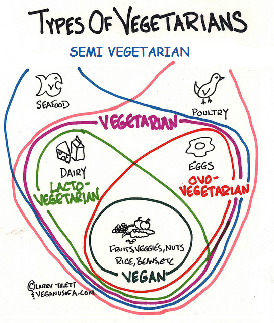 látás és vegetarianizmus
