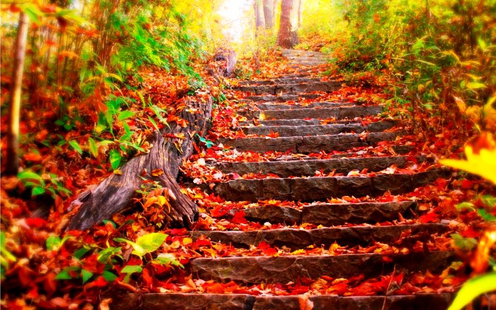 Autumn-steps