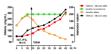 biguenides kezelésére a 2 típusú diabetes mellitus a diabetes mellitus kezelése 2 fehér bab