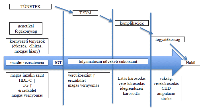 a cukorbetegség kezelésének károsodása