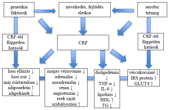 gyors fogyás ok nélkül magas psa fogyás