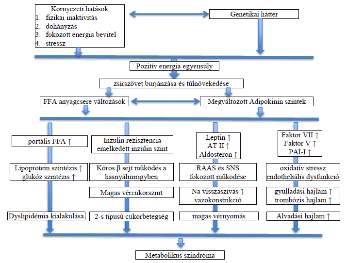 kezelése metabolikus szindróma diabetes