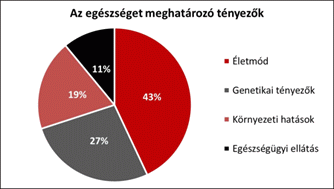 Szív-és érrendszeri betegségek