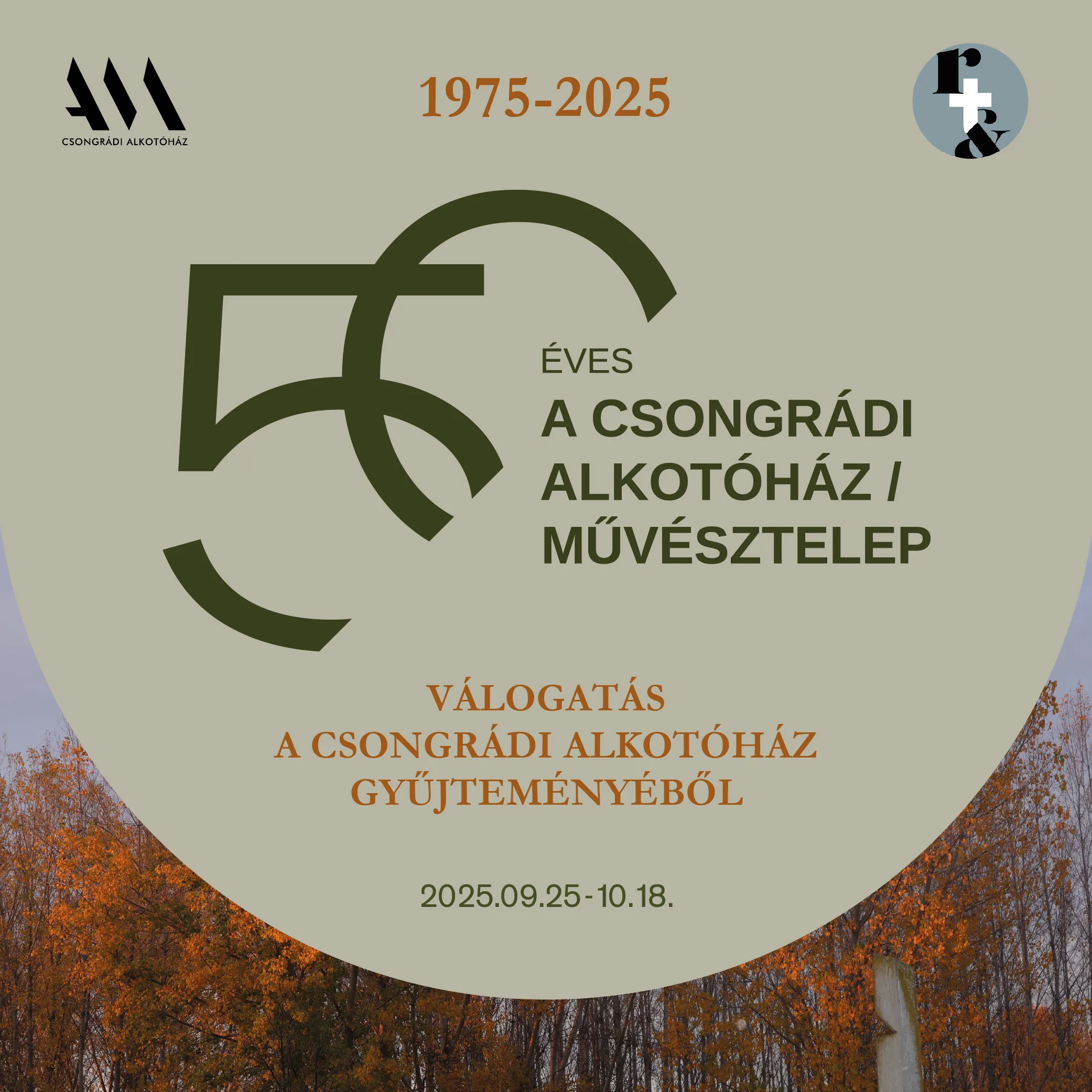 Csongrád 50 kiállítás